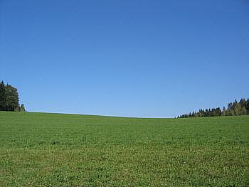 Wiesenlandschaft bei Habischried